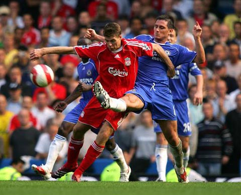 他们培养的 他们培养的